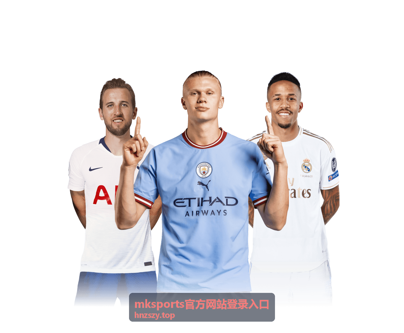 mksports官方网站登录入口登录异常排查示意